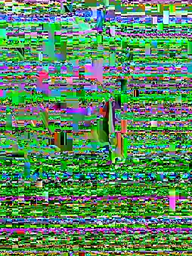 DaddySnowXX online show from May 29, 2026, 3:26 am