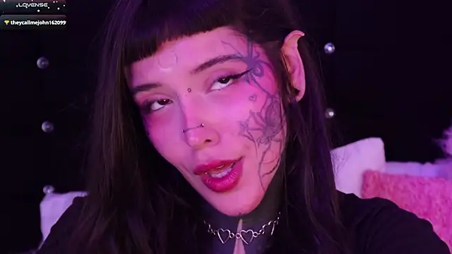 SylveonFox online show from February 1, 2025, 9:08 pm