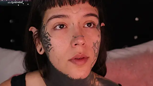 SylveonFox online show from February 11, 2025, 11:54 am