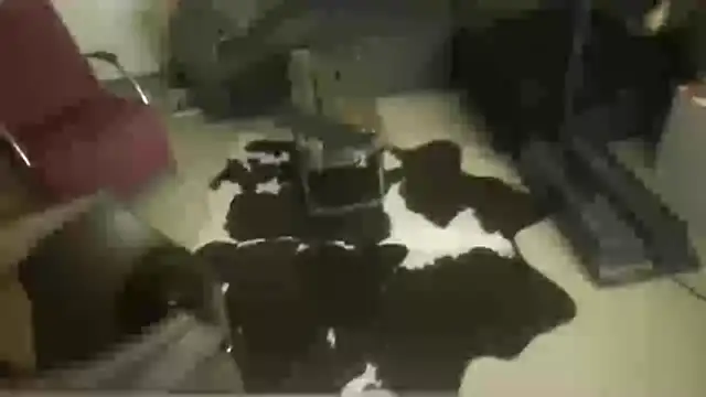 Snapshot of oopsxx chatting on December 22, 2025, 1:57 am oopsxx online show from December 22, 2025, 1:57 am