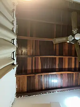 tom thick online show from March 11, 2025, 2:32 am