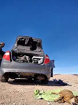 Snapshot of FloppyPickle4u chatting on February 15, 2025, 9:37 pm FloppyPickle4u online show from February 15, 2025, 9:37 pm