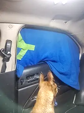 Snapshot of FloppyPickle4u chatting on February 18, 2025, 5:31 pm FloppyPickle4u online show from February 18, 2025, 5:31 pm