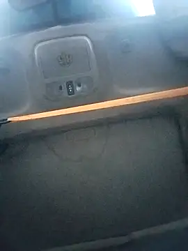 Snapshot of FloppyPickle4u chatting on November 5, 2025, 3:56 pm FloppyPickle4u online show from November 5, 2025, 3:56 pm