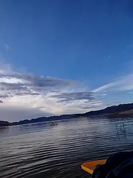 FloppyPickle4u online show from February 13, 2026, 3:52 pm