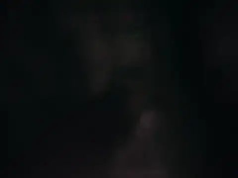 Arushisingh8888 online show from February 22, 2025, 8:18 am