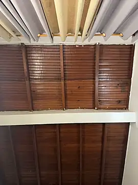 emiss  online show from March 31, 2026, 8:20 pm