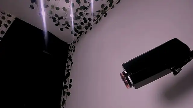 Young laroi online show from February 19, 2025, 8:12 am