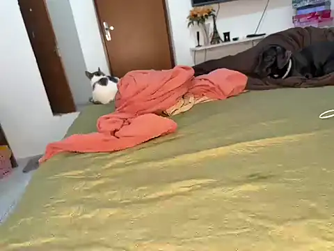 BRUALENC online show from February 24, 2026, 9:29 am