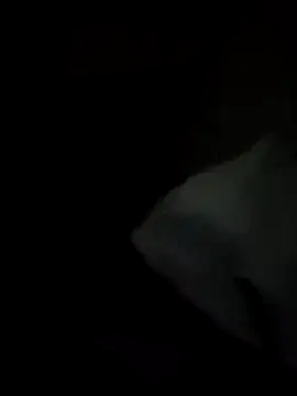 Snapshot of tessafontana37 chatting on January 3, 2025, 2:32 am tessafontana37 online show from January 3, 2025, 2:32 am