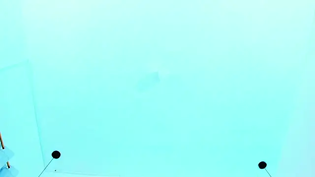 Emily Gil1 online show from January 3, 2025, 1:03 pm