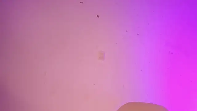 Snapshot of Tahira_21_ chatting on January 22, 2025, 10:37 pm Tahira 21 online show from January 22, 2025, 10:37 pm