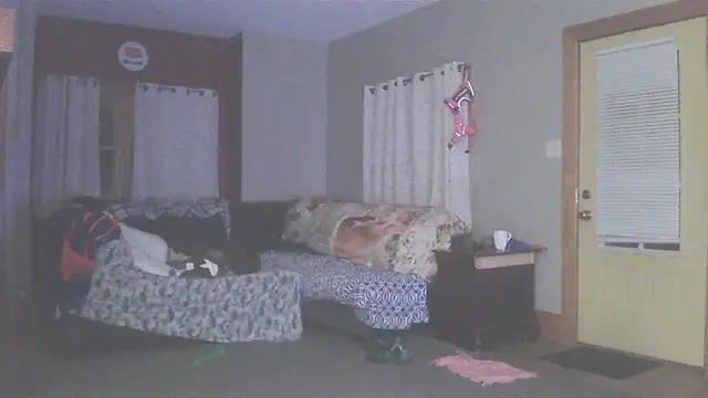 Smurfschmidt online show from March 13, 2026, 3:13 am