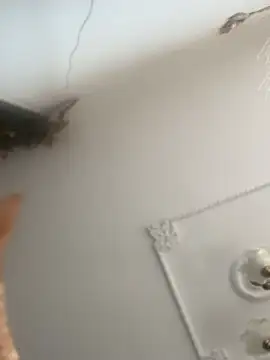 Snapshot of ValerieHilton chatting on December 9, 2024, 9:16 pm ValerieHilton online show from December 9, 2024, 9:16 pm