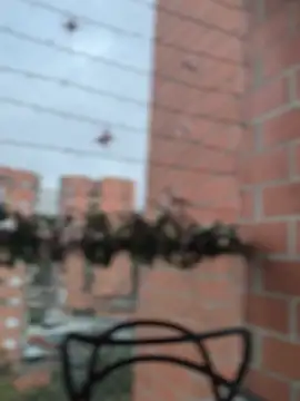 Snapshot of ValerieHilton chatting on December 27, 2024, 10:59 pm ValerieHilton online show from December 27, 2024, 10:59 pm