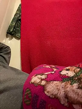 A6229 online show from February 26, 2025, 11:09 am