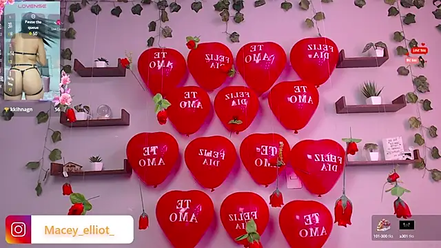 macey elliot  online show from February 15, 2025, 2:55 pm