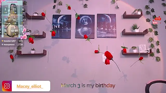 macey elliot  online show from February 27, 2025, 6:09 pm