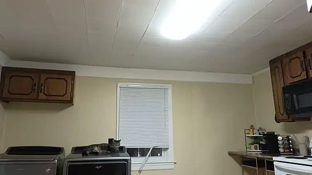 Snapshot of sexylilly69 chatting on October 13, 2025, 2:00 am sexylilly69 online show from October 13, 2025, 2:00 am