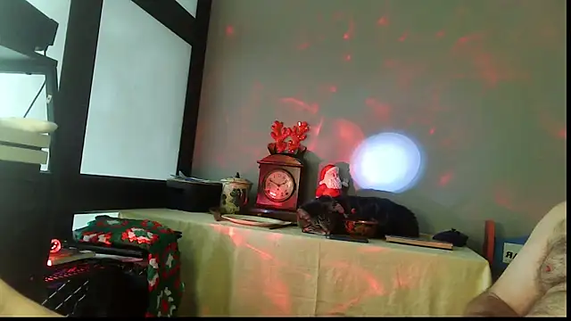 SexWorkerX online show from December 22, 2025, 6:49 pm