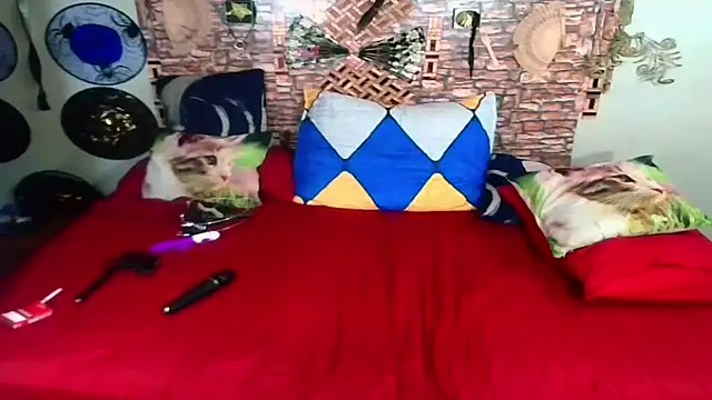 Indian Blaze00 online show from October 4, 2025, 10:46 am