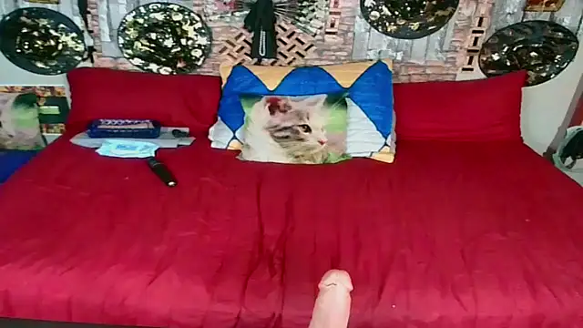 Indian Blaze00 online show from October 23, 2025, 11:03 pm