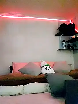 Paudelatorre online show from February 8, 2026, 8:45 pm