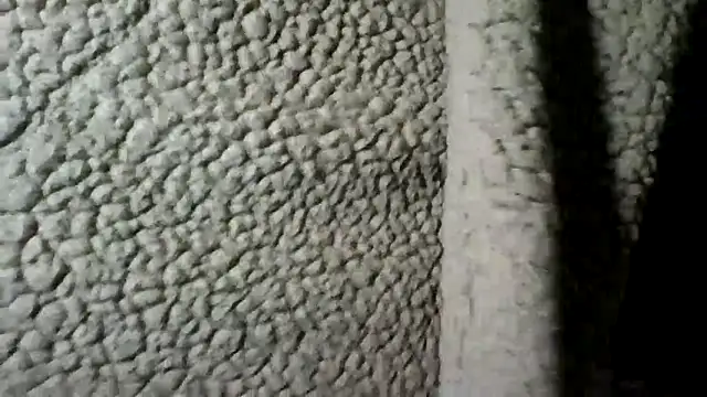 Daszler online show from December 30, 2024, 10:45 pm