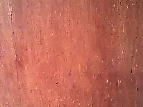 Dirtychubby29 online show from January 14, 2025, 4:25 am