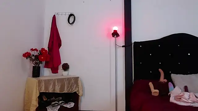 sirax66 online show from February 13, 2025, 3:50 am