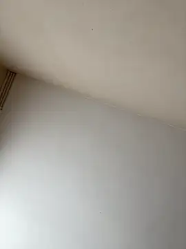 rpotktkkt online show from November 20, 2025, 9:42 am