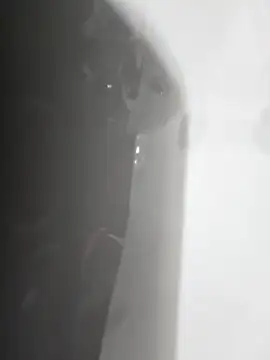 Snapshot of gordito_xx chatting on February 22, 2025, 3:47 pm gordito xx online show from February 22, 2025, 3:47 pm