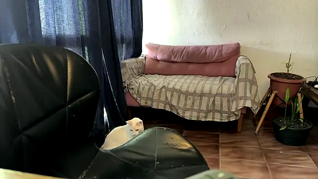 gerson173Hugo online show from January 7, 2026, 12:18 pm