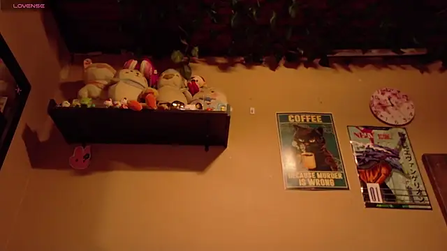 maryberry   online show from October 2, 2025, 4:41 am