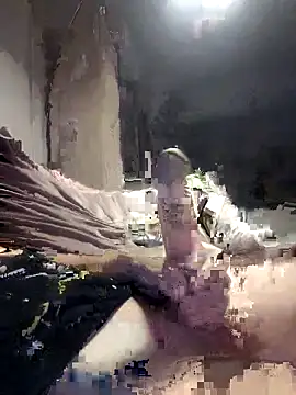 Bi-Sunny online show from October 11, 2025, 4:44 am