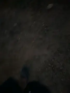 Black-mamba-madingo online show from September 28, 2025, 12:27 am