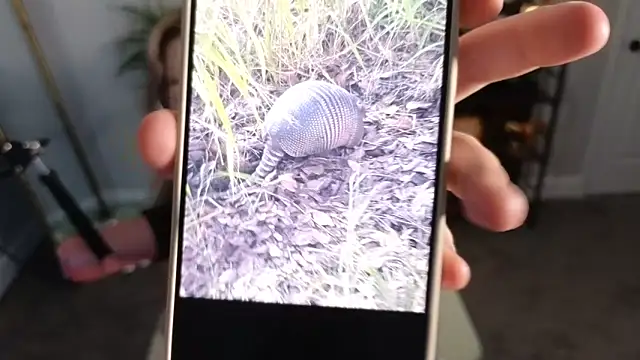 Snapshot of rodeobrii chatting on November 17, 2025, 3:34 am rodeobrii online show from November 17, 2025, 3:34 am