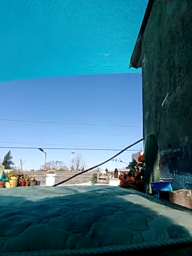 puak6666 online show from September 11, 2025, 5:13 pm