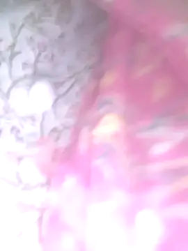 Priya Bong online show from February 4, 2026, 2:17 am