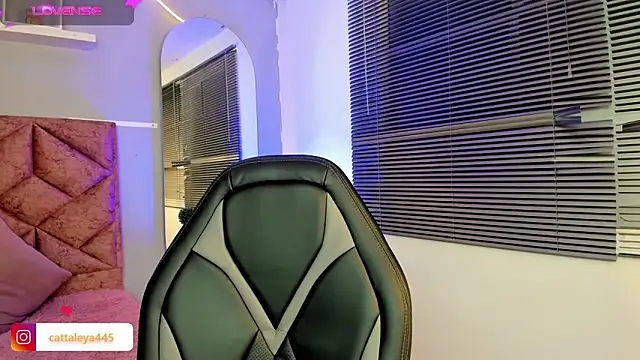 cattaleya    online show from February 8, 2025, 6:22 am