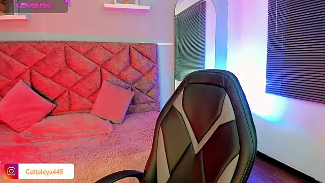 cattaleya    online show from February 15, 2025, 4:47 am