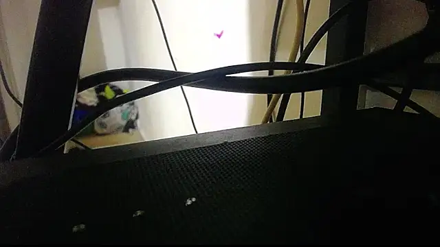 harry lia  online show from November 5, 2025, 7:25 pm