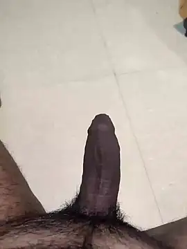 saiTeluguhyd online show from January 25, 2025, 7:49 pm