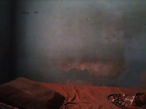 little  joy online show from November 5, 2025, 1:44 pm