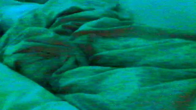 Everydayonli online show from January 16, 2026, 1:09 am