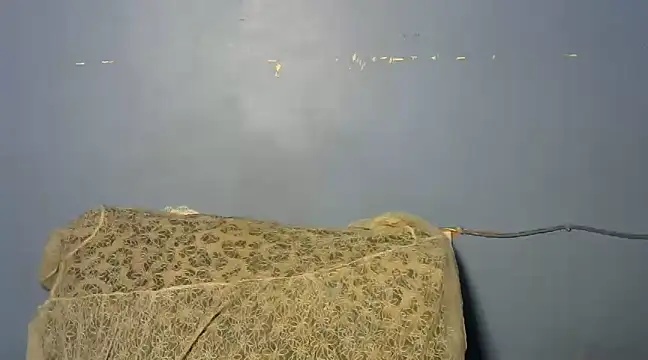 Snapshot of shishbabe chatting on March 4, 2025, 4:49 am shishbabe online show from March 4, 2025, 4:49 am