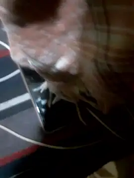 Snapshot of Rojatelugu89 chatting on January 8, 2026, 1:35 pm Rojatelugu89 online show from January 8, 2026, 1:35 pm