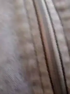 pleasure and fantasy online show from January 8, 2025, 3:07 pm