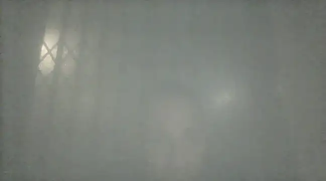 margiale84 online show from December 17, 2024, 9:16 pm