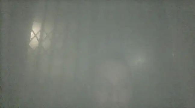 margiale84 online show from December 19, 2024, 8:02 pm